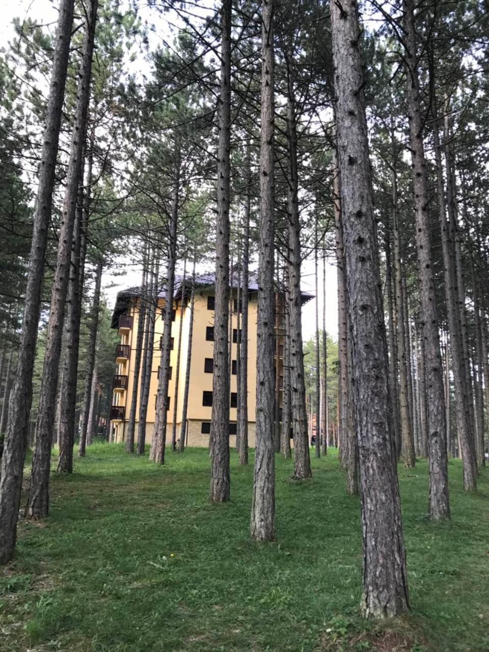 Zlatibor Apartmani Jakovljevic Eksteriør bilde